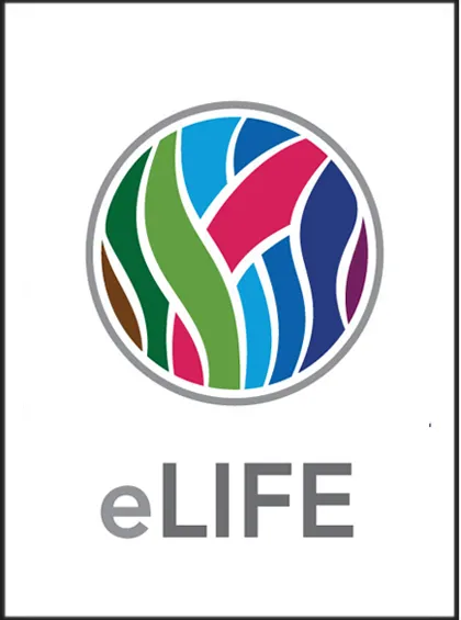 36099 writing skills